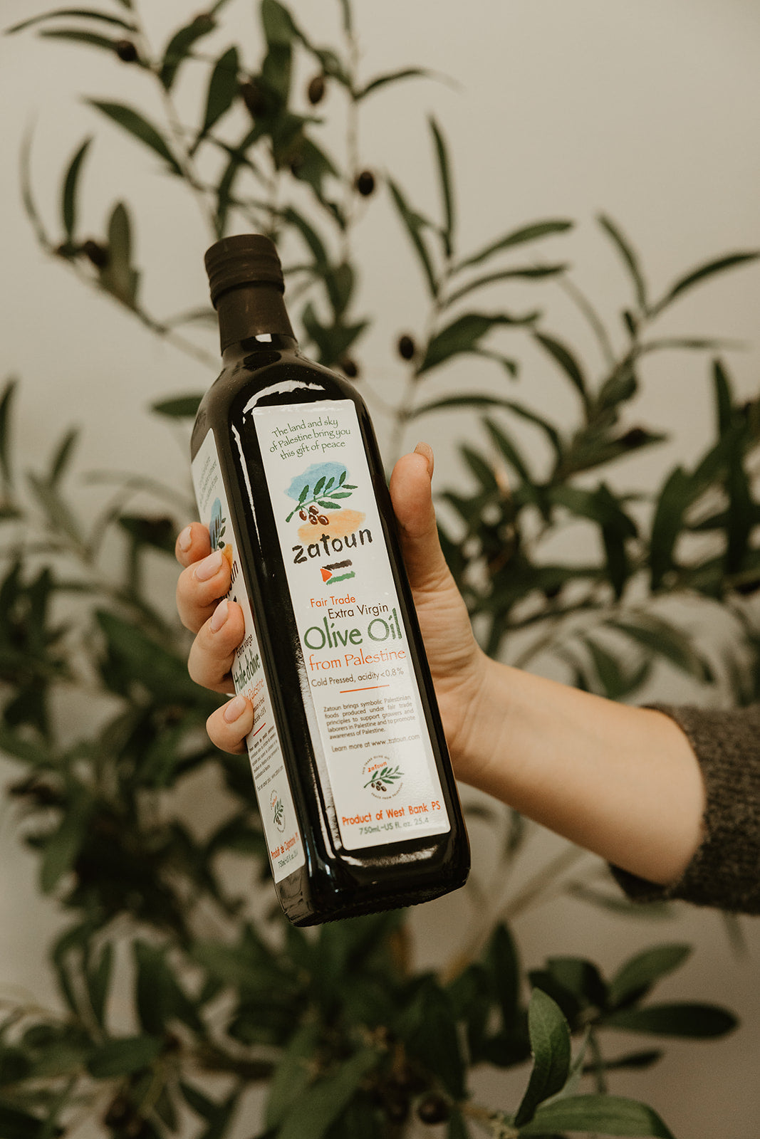 Zatoun Extra Virgin Olive Oil from Palestine