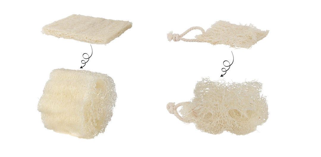 Getting to Know Your Loofah