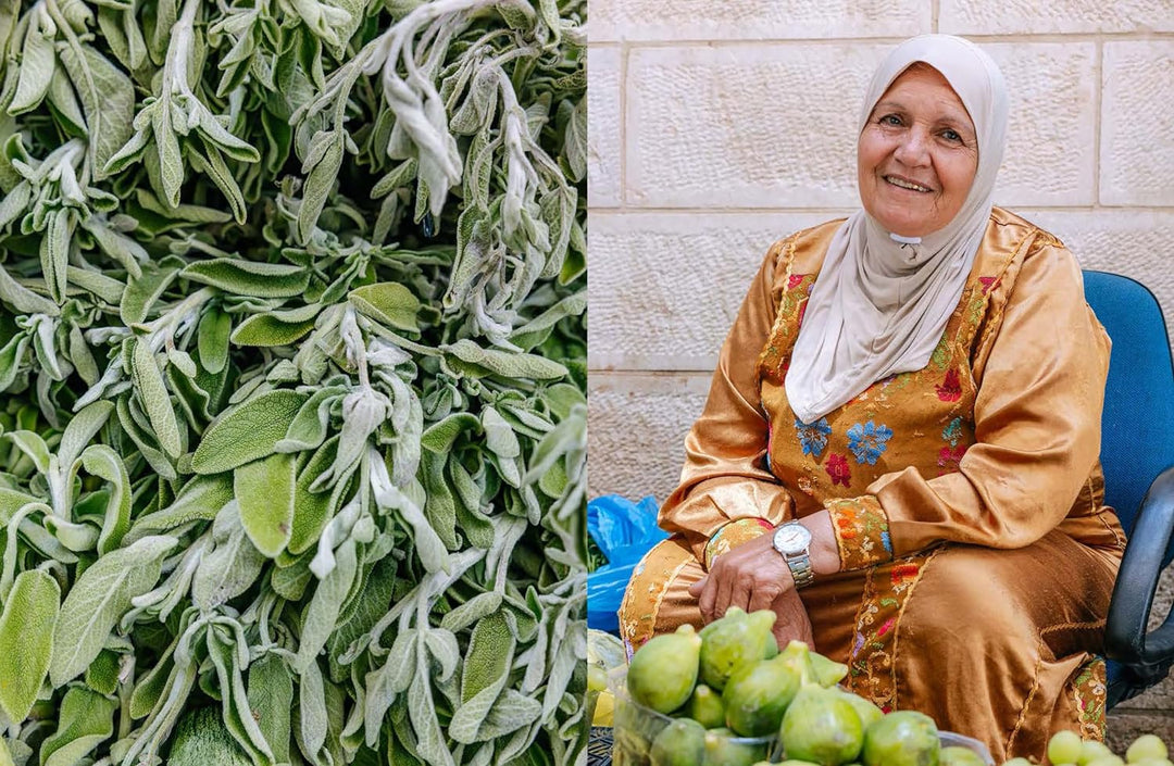 COOKBOOK: Bethlehem: A Celebration of Palestinian Food by Fadi Kattan