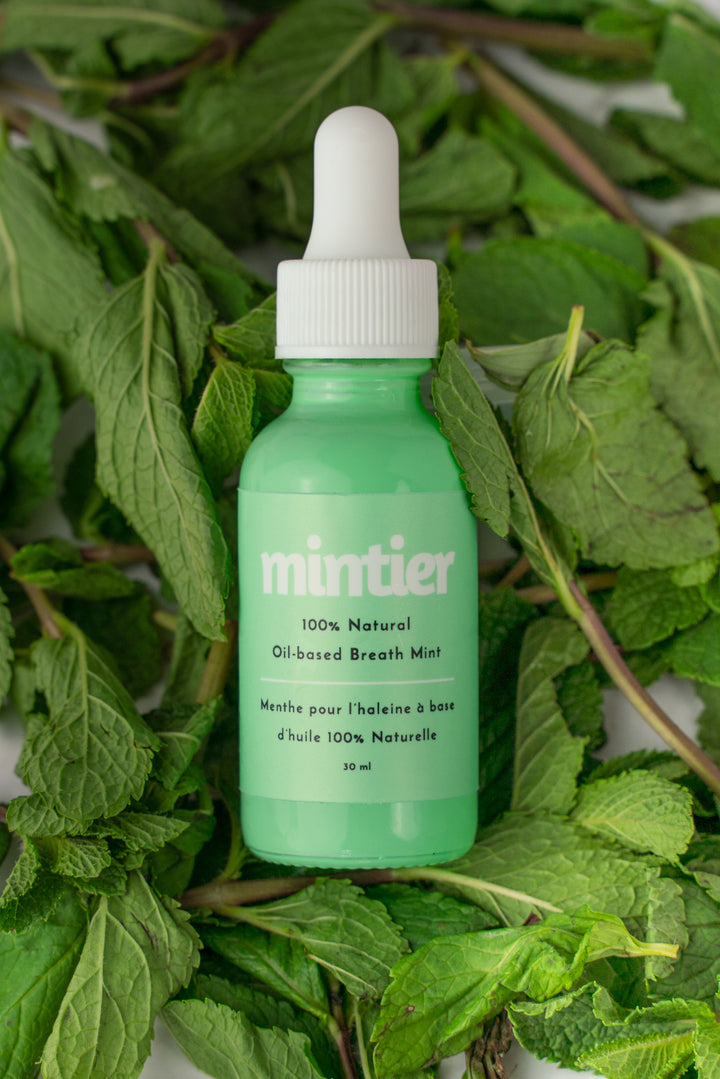 Mintier | Oil Based Breath Mint 30mL